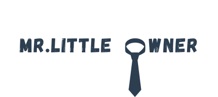 mr.little owner